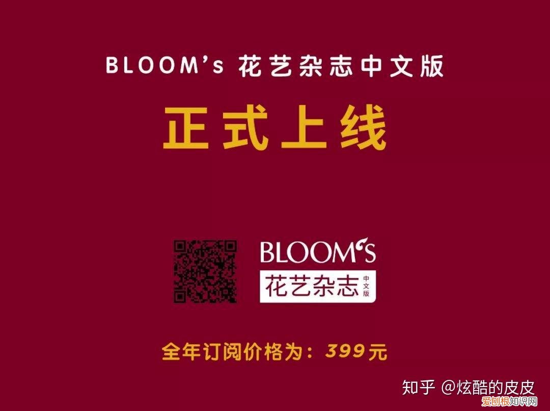 书单推荐 花艺相关书籍,零基础必读的几本花艺书籍