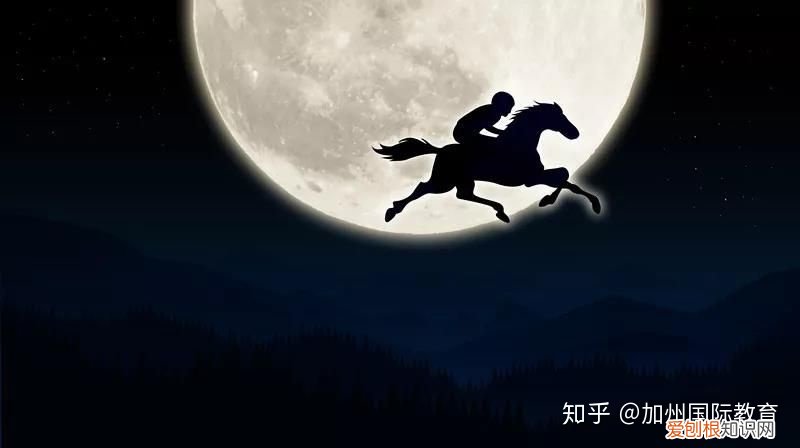 Cat and dog rain，cats and dogs可不是指猫和狗，关于动物的英语表达全在这！