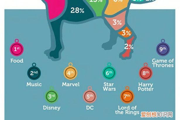 英文宠物名字有哪些 可爱，英国人最爱给宠物起啥英文名？TOP10接好了