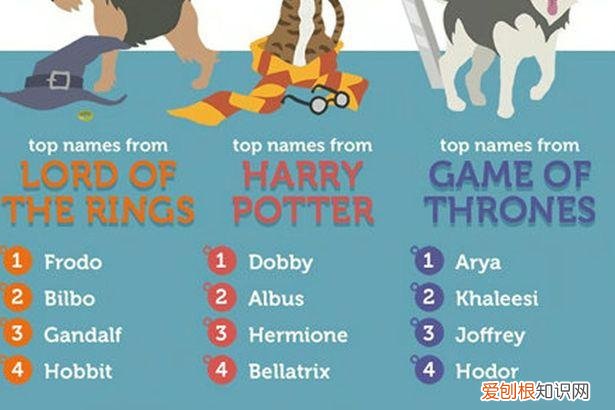 英文宠物名字有哪些 可爱，英国人最爱给宠物起啥英文名？TOP10接好了