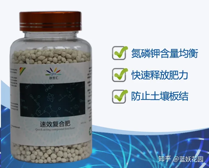 开花时间长的盆栽花有哪些，难怪你的盆栽不开花，处于不同生长期的盆栽，施肥方法大不同！