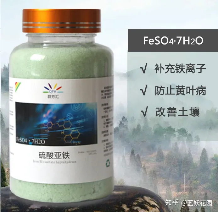 开花时间长的盆栽花有哪些，难怪你的盆栽不开花，处于不同生长期的盆栽，施肥方法大不同！