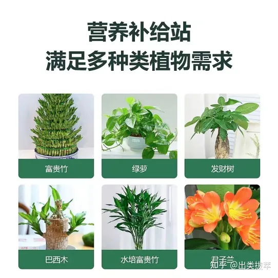 养花的十二种技巧是什么，养花技巧：秋季养花有哪些小窍门，不可不学哦！