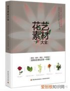 花艺相关书籍，零基础学花艺，这几本入门书值得看！