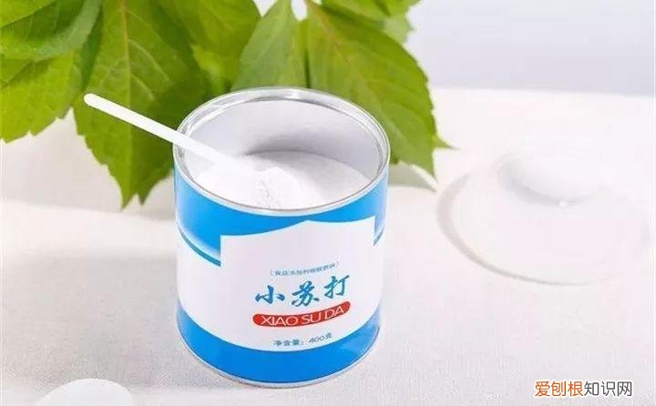 病虫害会导致君子兰夹箭虫吗，8种养花窍门，病虫全扫光，君子兰长得健壮不夹箭！