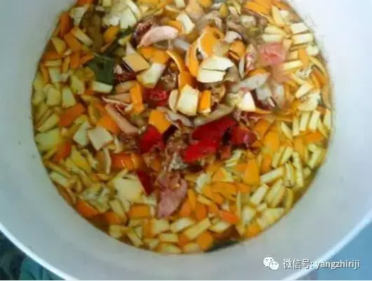 盆栽的养护，爆文｜一篇顶100篇，盆栽养护知识合集看完你就是养花大神！