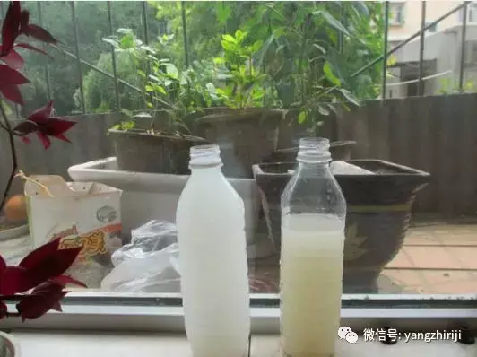 盆栽的养护，爆文｜一篇顶100篇，盆栽养护知识合集看完你就是养花大神！