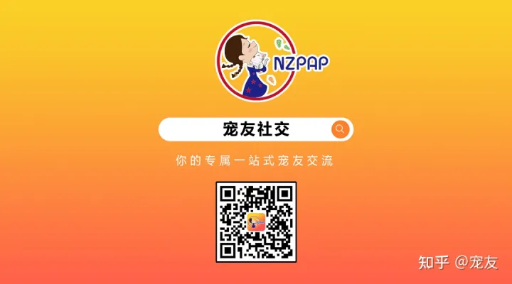 一些有趣的小动物知识,宠友:长知识了! 10个新奇好玩的「动物冷知识」,你知道几个呢?