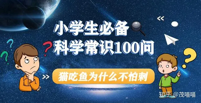 猫咪吃鱼为什么不怕刺，小学生必备科学常识100问-02猫吃鱼为什么不怕刺