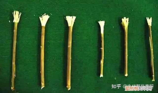 古人如何刷牙的,齿间上的中国,古人怎么刷牙?|生活篇