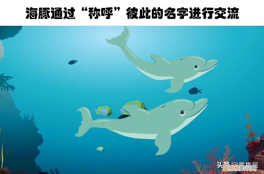 生物世界指什么动物，你甚至在生物课上都可能没听过的10个关于动物的有趣冷知识