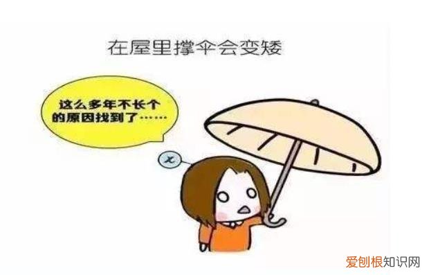 为什么“屋里打伞长不高”,孩子成长的过程中,你说过哪些善意的谎言,在屋内打伞长不高
