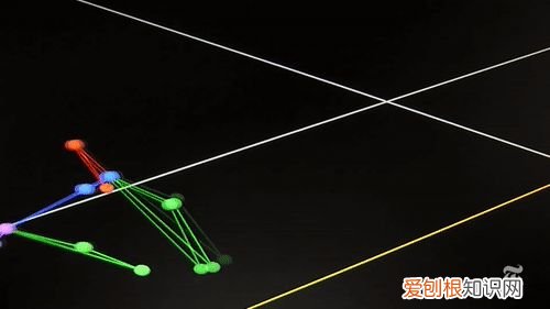 20个动物冷知识,这些动物的冷知识,多少人一个都没听说过