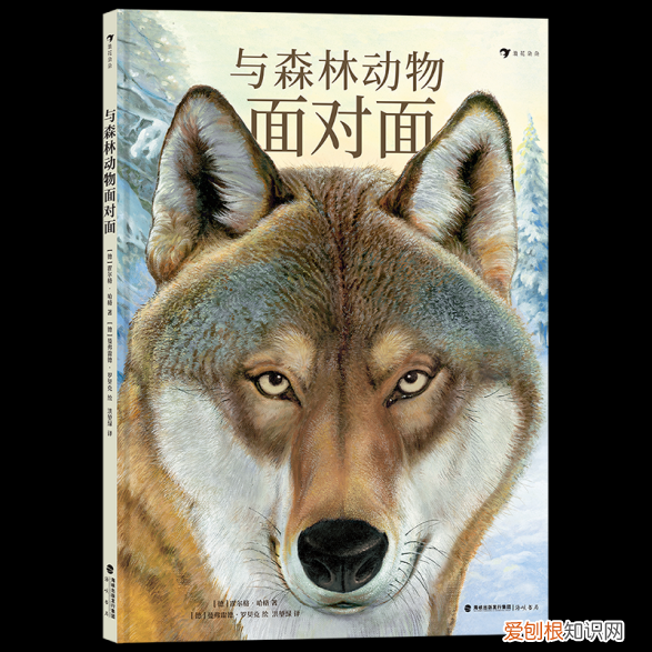 《有趣的动物》读书笔记，浪花书单丨动物们的迷惑行为，原来还有这么多讲究