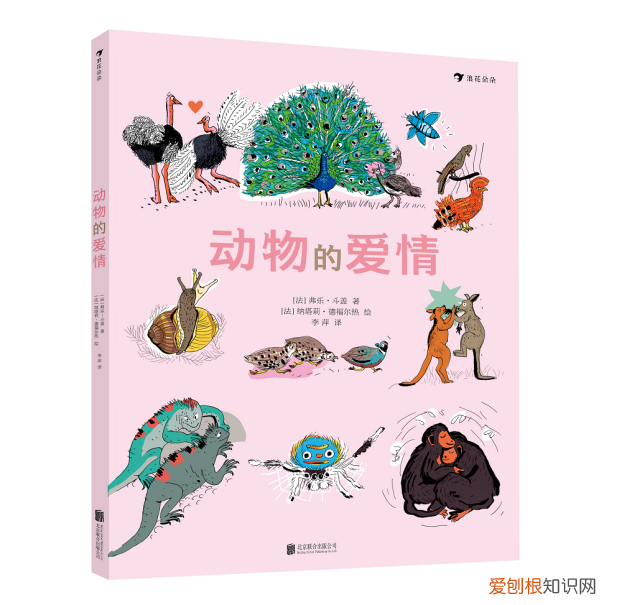 《有趣的动物》读书笔记，浪花书单丨动物们的迷惑行为，原来还有这么多讲究