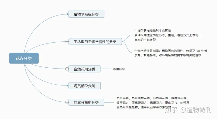 这10条养花技巧非常适合新手用英语，新手养花，入门攻略之花卉分类