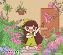 一年四季养什么花好养活呢，32种花养护大全，新手也能学的会，一年花开好几茬！
