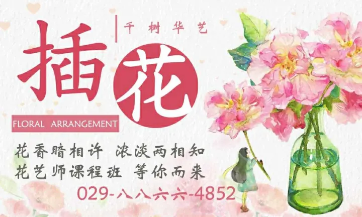 插花养花技巧，花艺教程 学插花 学养花