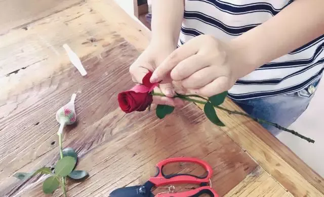 插花养花技巧，花艺教程 学插花 学养花