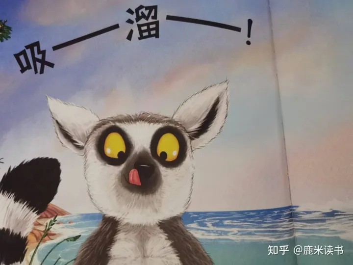 还有什么小动物用什么来辨味，《有味道的动物科普》调动孩子的五官感触，回味无穷