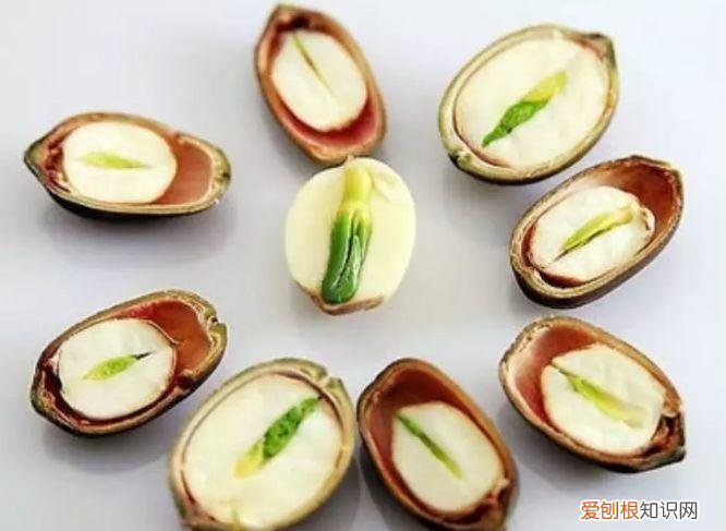 如何养花常识，养花也要做功课，40条经验一掌握，啥花都能养的好！