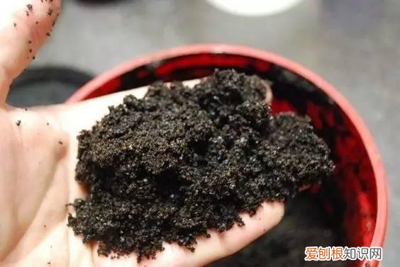 万能花盆给我们一个什么道理，一个花盆中蕴含的知识，助你“养花”更上一层楼，太多人不知道！