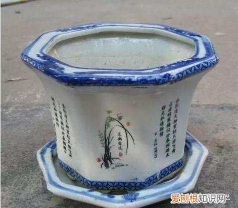 万能花盆给我们一个什么道理，一个花盆中蕴含的知识，助你“养花”更上一层楼，太多人不知道！
