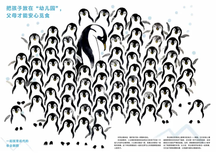 书新的意思，新书速递丨重点系列新鲜出炉，静待春来！