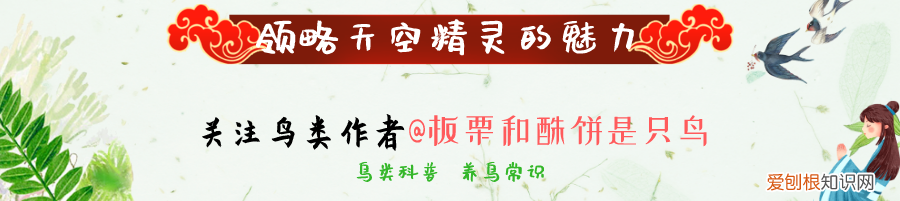 动物的小知识大世界，奇怪的知识又增加了：10个动物冷知识，刷新你的世界观