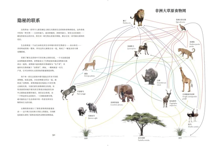 神奇的动物科普，一本充满温情的科普书，为你揭秘百余种动物不为人知的生存秘密