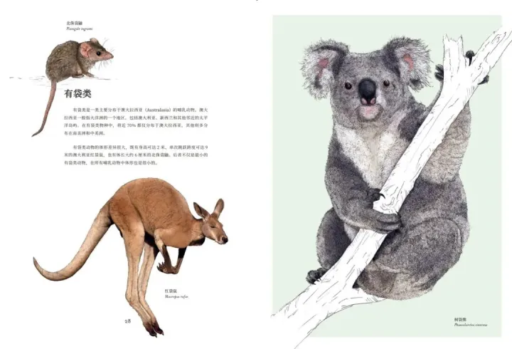 神奇的动物科普，一本充满温情的科普书，为你揭秘百余种动物不为人知的生存秘密