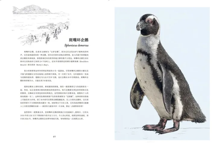 神奇的动物科普，一本充满温情的科普书，为你揭秘百余种动物不为人知的生存秘密