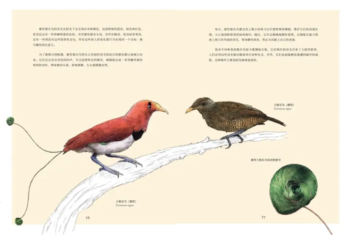 神奇的动物科普，一本充满温情的科普书，为你揭秘百余种动物不为人知的生存秘密