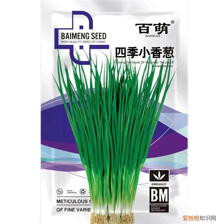 花卉盆景观赏图大全,经典盆栽花卉图鉴
