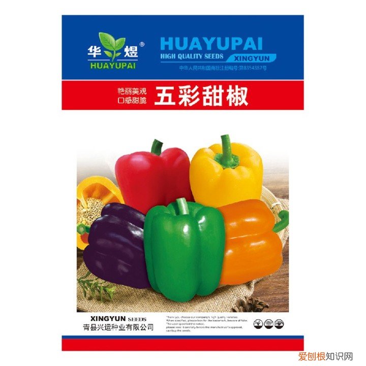 花卉盆景观赏图大全,经典盆栽花卉图鉴