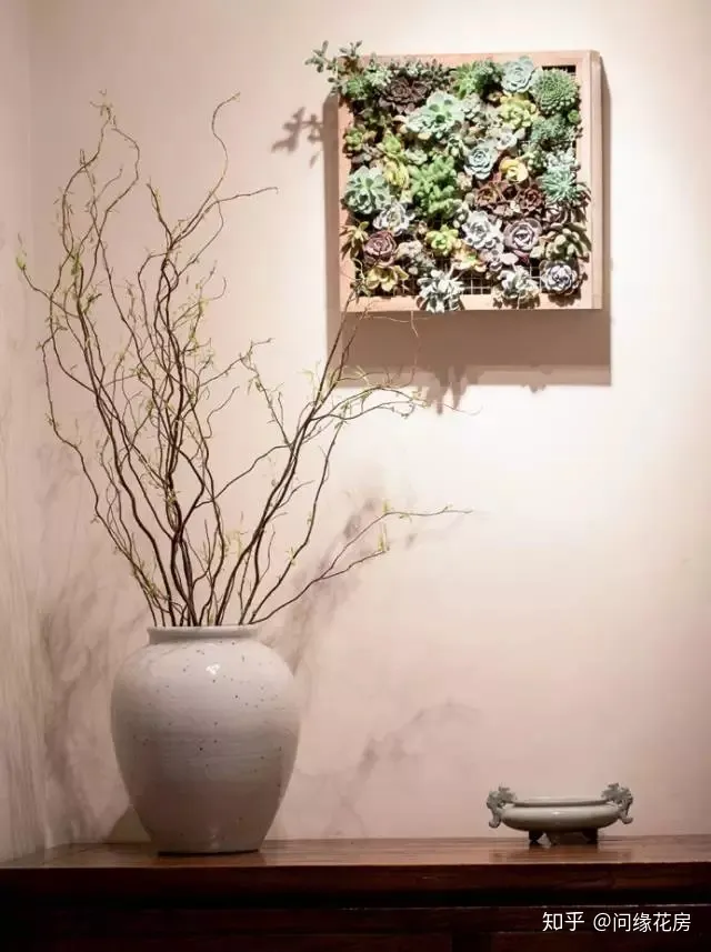 家里养的绿色植物,居家绿植百科,你不得不知得小秘密!