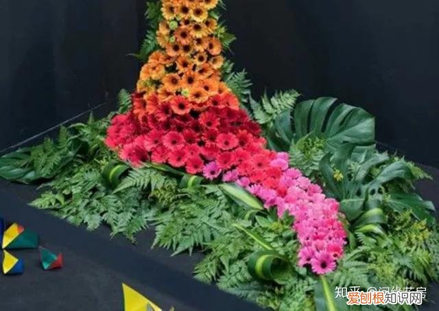 家里养的绿色植物,居家绿植百科,你不得不知得小秘密!