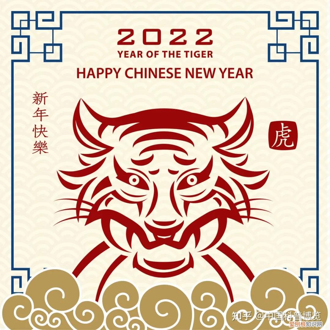 一头老虎对吗?，这10个老虎小知识，我打赌你有一半不知道
