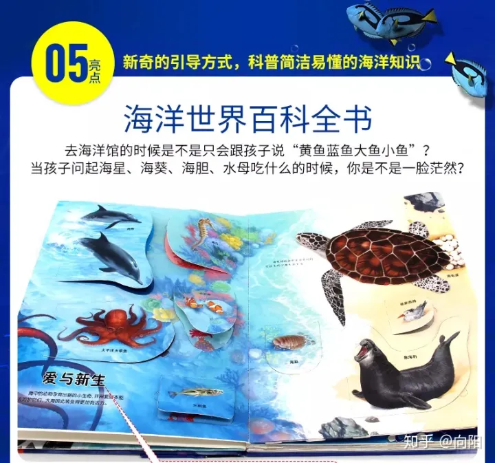拥有海洋就拥有了世界，有了它，你就拥有了整个海洋
