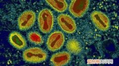 怎么判断长的是不是疣，猴痘科普小知识丨微生物的那些事儿