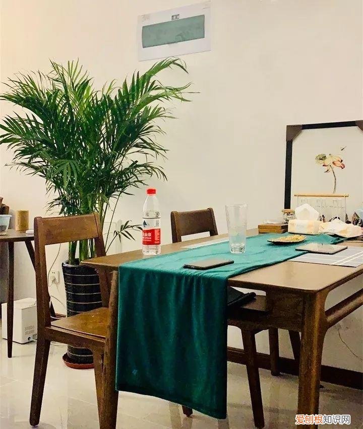 什么花好养又招财，在家养这25种花，招财又旺运，聪明人都在养