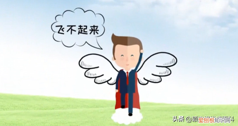 二十三 鸟类科普专栏，少儿百科科普：鸟类知识