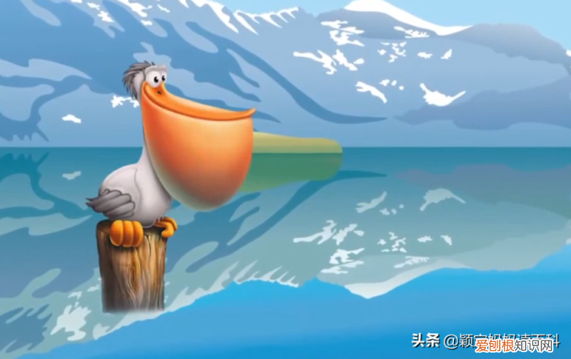 二十三 鸟类科普专栏，少儿百科科普：鸟类知识