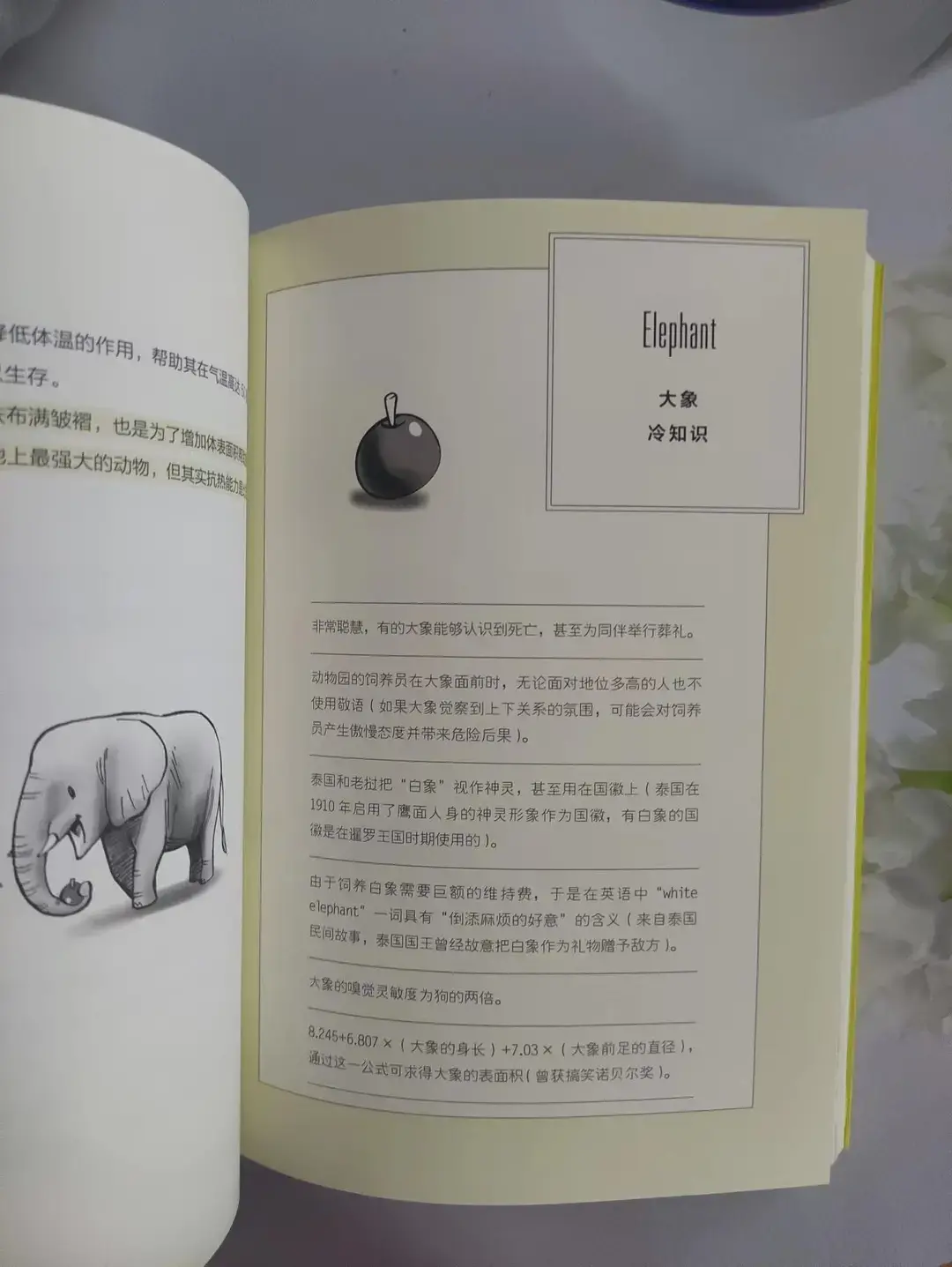 关于动物的冷知识,你知道多少种动物，关于动物的冷知识，你知道多少？