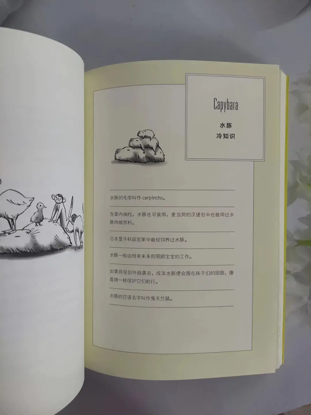 关于动物的冷知识,你知道多少种动物，关于动物的冷知识，你知道多少？