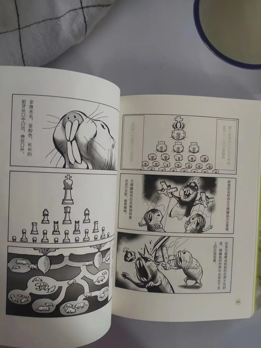 关于动物的冷知识,你知道多少种动物，关于动物的冷知识，你知道多少？
