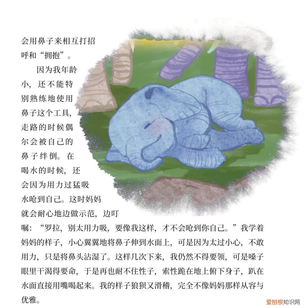 关于动物成长的故事，好书·推荐｜三个动物成长的故事，让孩子尊重生命，关爱自然