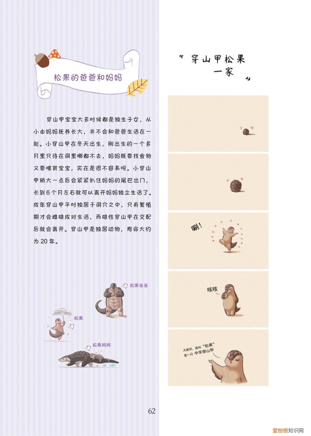 关于动物成长的故事，好书·推荐｜三个动物成长的故事，让孩子尊重生命，关爱自然