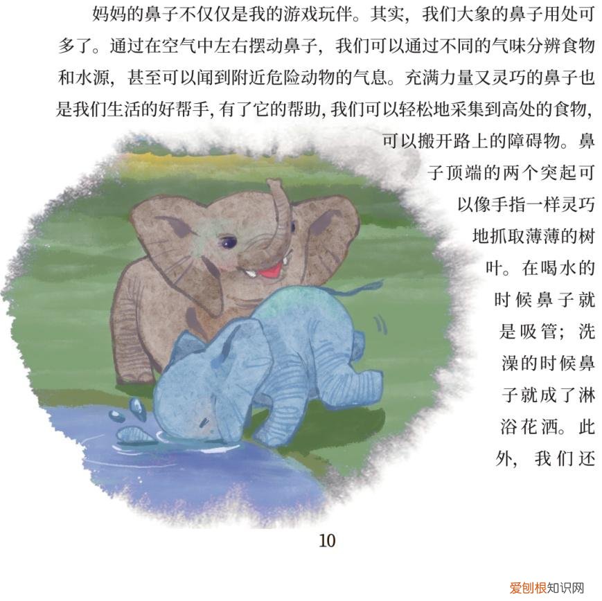 关于动物成长的故事，好书·推荐｜三个动物成长的故事，让孩子尊重生命，关爱自然
