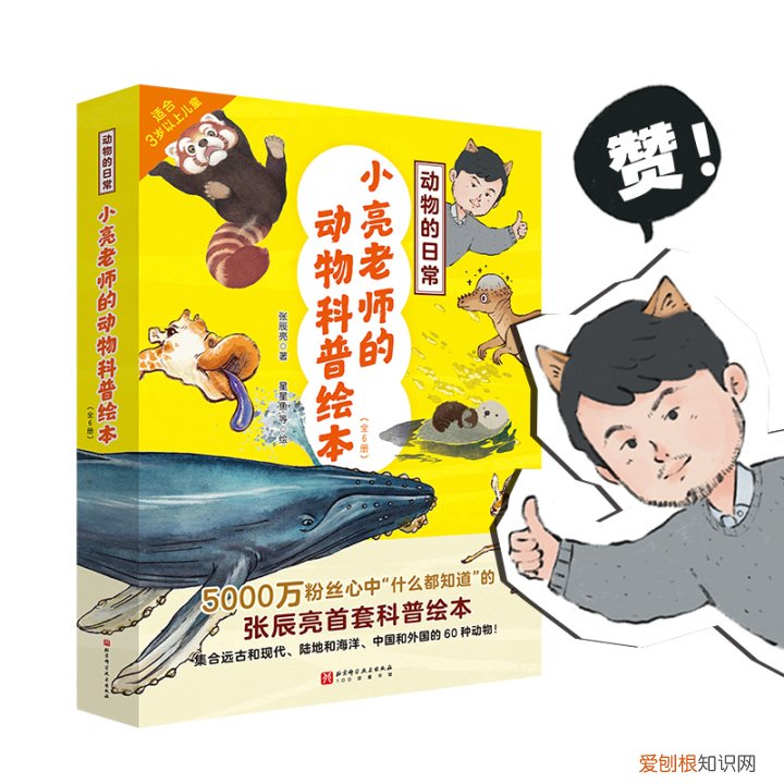 绘本神奇的动物园教案，无穷小亮老师的动物科普绘本《动物的日常》